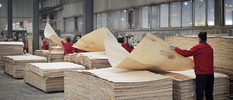 人造板力学性能的高精度测试